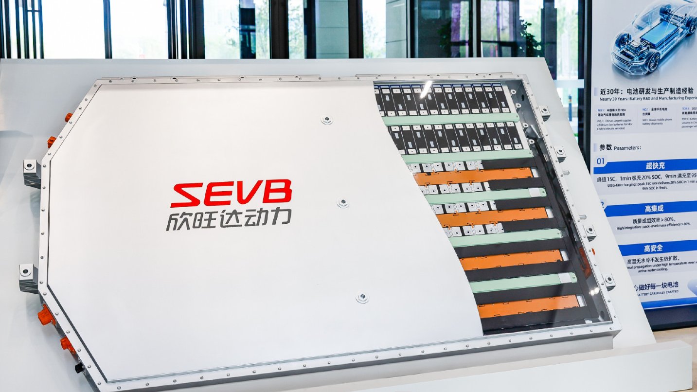 Аккумуляторный блок Sunwoda EVB